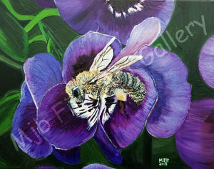 "Bee on the Pansies", Unframed Print