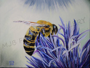 "Bee In The Blue Grass", Unframed Print