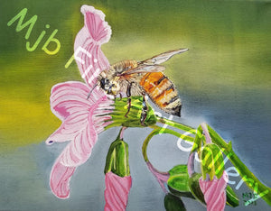 "Bee on The Pink Flower" Unframed Print