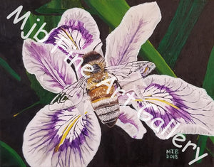 "Bee on The Iris Flower" Unframed Print