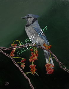 "Blue Bird Beauty", Unframed Print