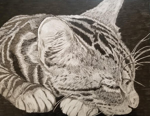 "Logan, the Cat" Framed Original Graphite Pencil Drawing on Paper