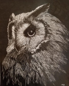 "Owl" Pencil Drawing Framed