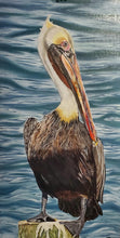 Load image into Gallery viewer, &quot;Pelican&quot; Oil on Linen Canvas (Commission) &quot;SOLD&quot;