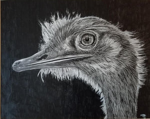"Herbert, The Ostrich" Graphite Pencil Drawing on Paper "SOLD"